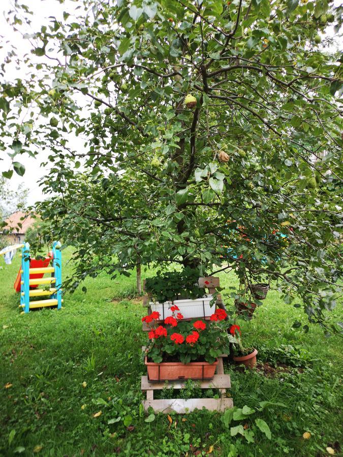 Family Apartment With Garden Saraievo Exterior foto