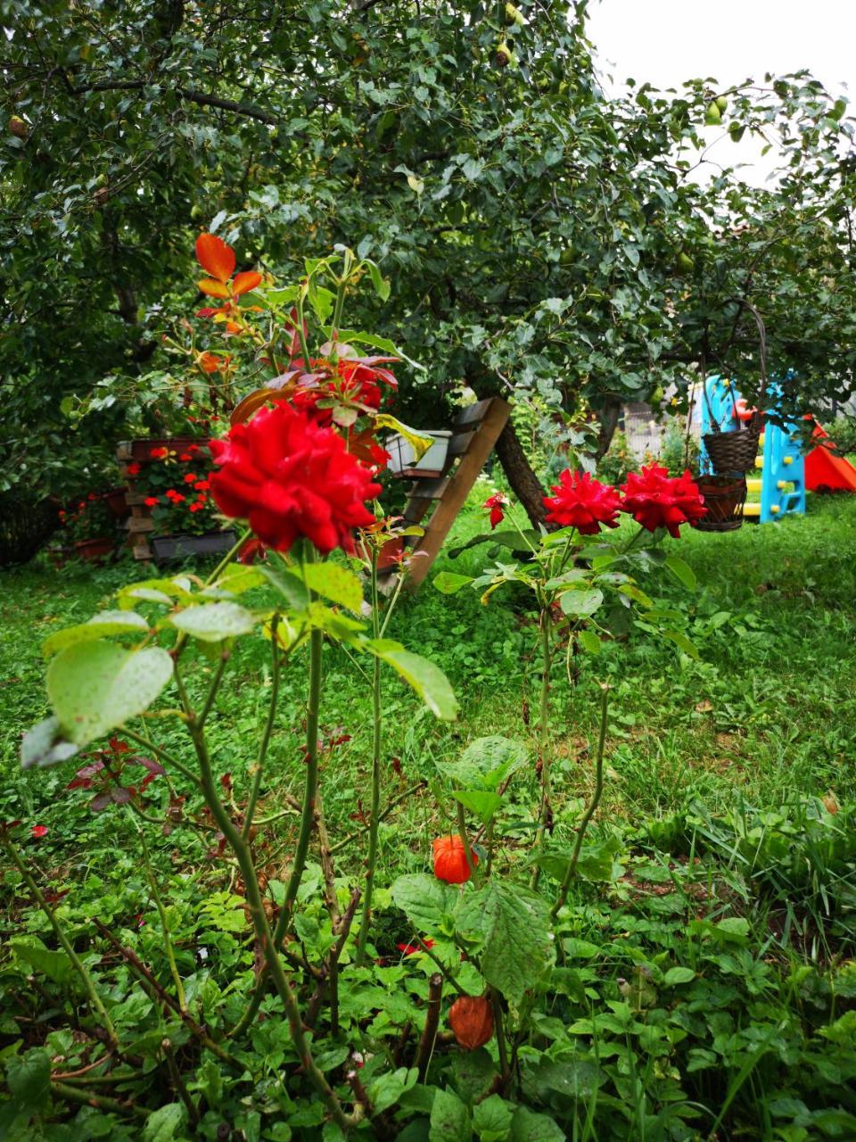 Family Apartment With Garden Saraievo Exterior foto