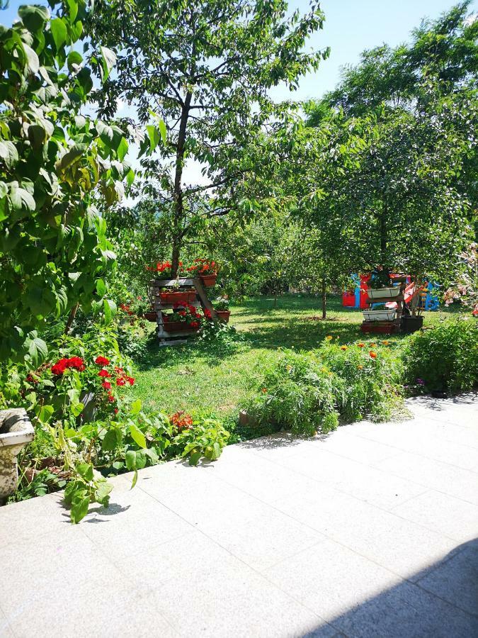 Family Apartment With Garden Saraievo Exterior foto